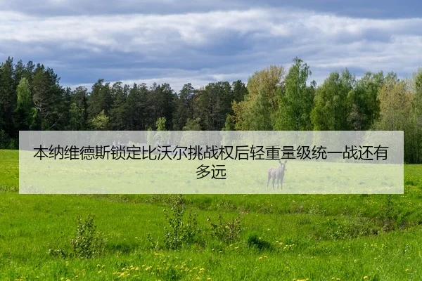 本纳维德斯锁定比沃尔挑战权后轻重量级统一战还有多远